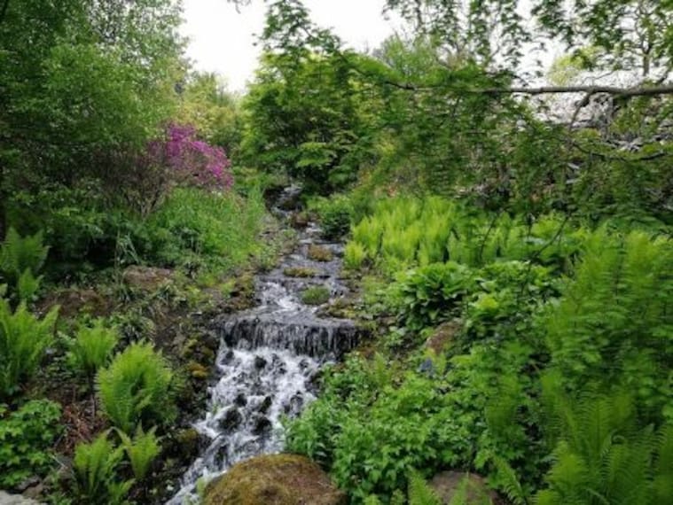 Walk the Royal Botanic Garden-1